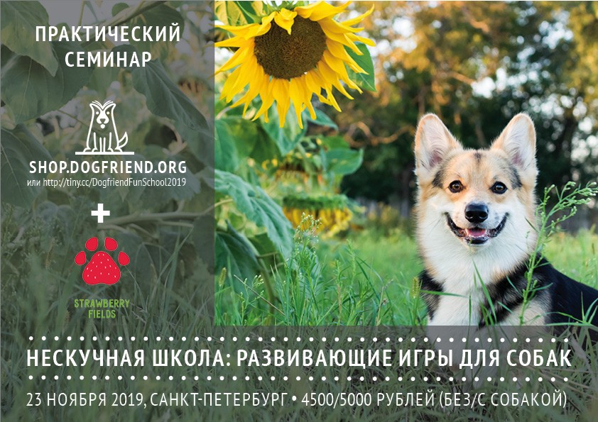 Практический семинар &quot;Нескучная школа: развивающие игры для собак&quot;, 28 марта 2020, Москва Практический семинар по развивающим играм для собак