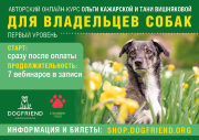 Для владельцев собак (первый уровень). Авторский онлайн-курс Ольги Кажарской и Тани Вишняковой