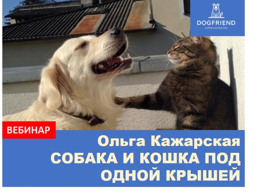 Собака и кошка под одной крышей. Вебинар зоопсихолога Ольги Кажарской, 14.04.18, начало в 18.00 (МСК)