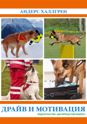 Андерс Халлгрен. Драйв и мотивация. Электронная книга