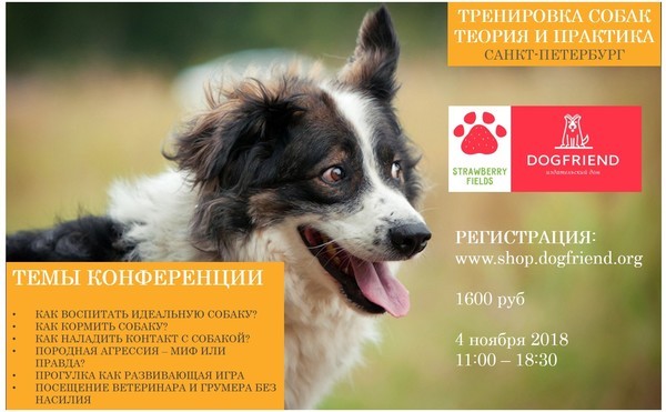 Конференция &amp;quot;Тренировка собак: теория и практика, Санкт-Петербург&amp;quot;, 4 ноября 2018