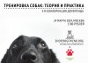Конференция "Тренировка собак: теория и практика", 24 марта 2019, Москва - Конференция "Тренировка собак: теория и практика", 24 марта 2019, Москва