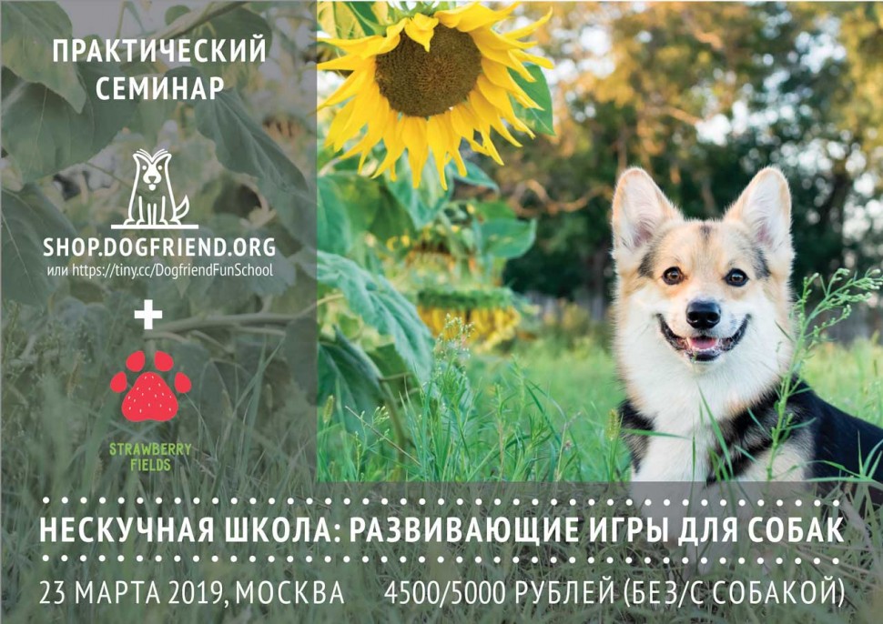 Практический семинар &quot;Нескучная школа: развивающие игры для собак&quot;, 23 марта 2019, Москва Практический семинар по развивающим играм для собак