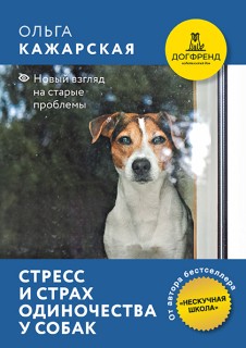 Стресс и страх расставания. Новый взгляд на старые проблемы. Электронная книга.