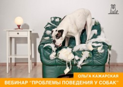 Проблемы поведения у собак. Онлайн-семинар зоопсихолога Ольги Кажарской (запись)