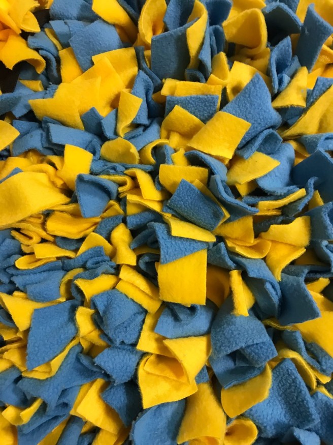 Нюхательный коврик +, голубой-жёлтый, 40х50 см 