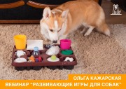 Развивающие игры для собак. Онлайн-семинар зоопсихолога Ольги Кажарской (запись)